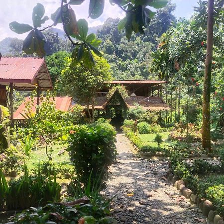 Mountain View Cottages & Villa Tangkahan Exterior foto
