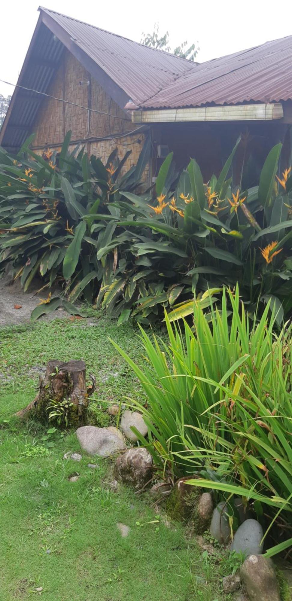 Mountain View Cottages & Villa Tangkahan Exterior foto