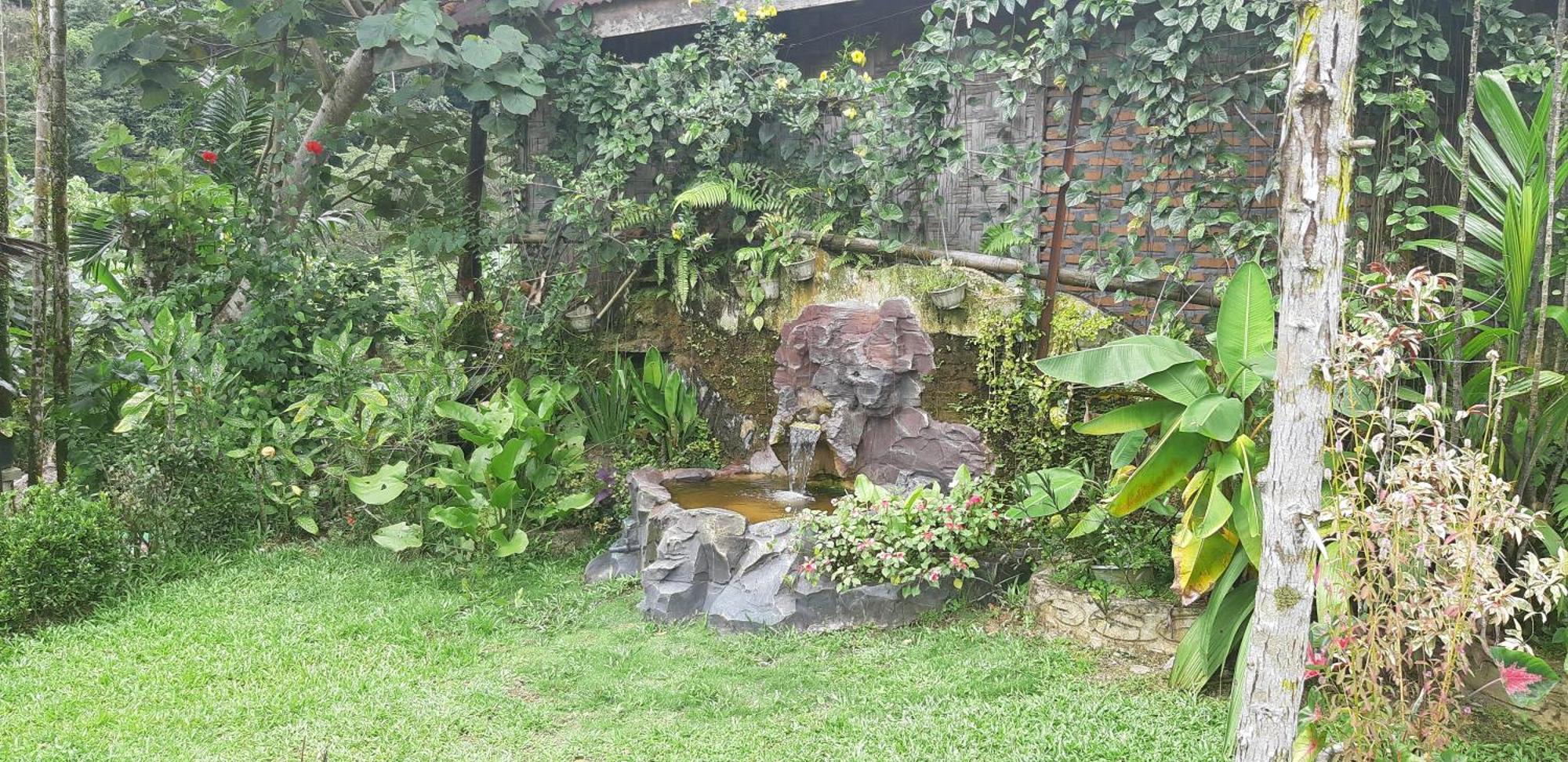 Mountain View Cottages & Villa Tangkahan Exterior foto