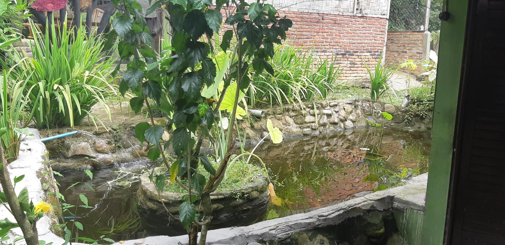 Mountain View Cottages & Villa Tangkahan Exterior foto
